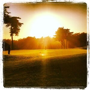 Meet your Posher, Annie